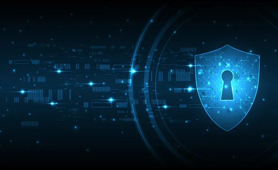 Security and safety at wheelz casino